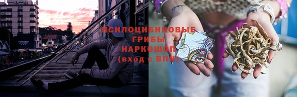 дживик Белокуриха