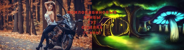 первитин Белоозёрский
