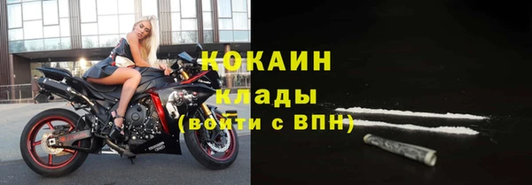 дживик Белокуриха