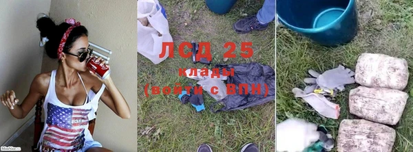 дживик Белокуриха