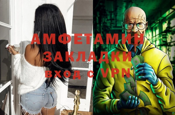 дживик Белокуриха
