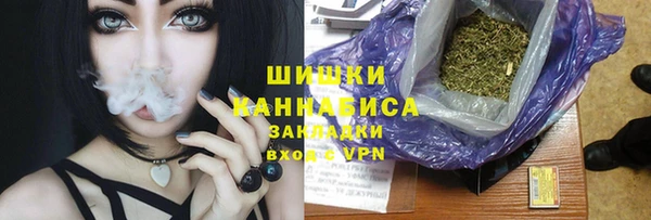 дживик Белокуриха